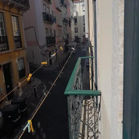 Chiado / Carmo Small Artist